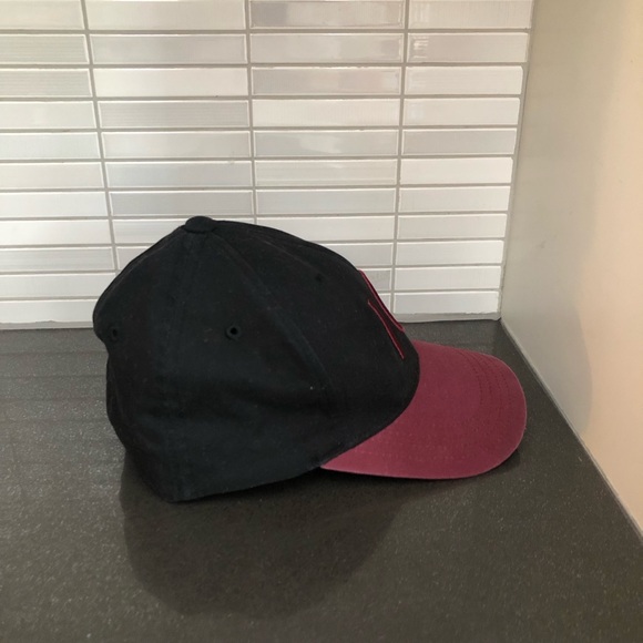 🥳HOST PICK🥳 Tentree unisex baseball hat - Picture 5 of 9